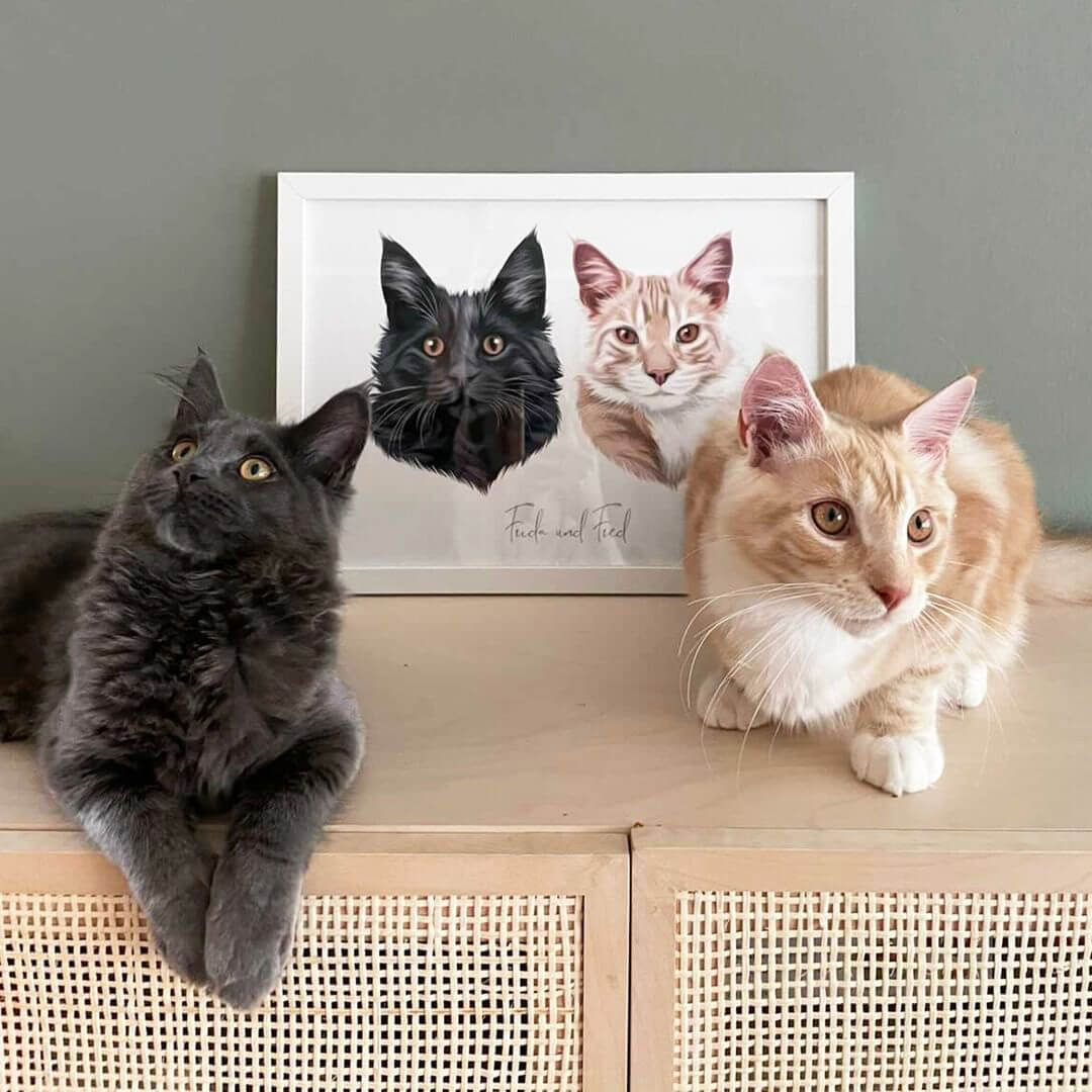 Katzenportrait nach Fotovorlage