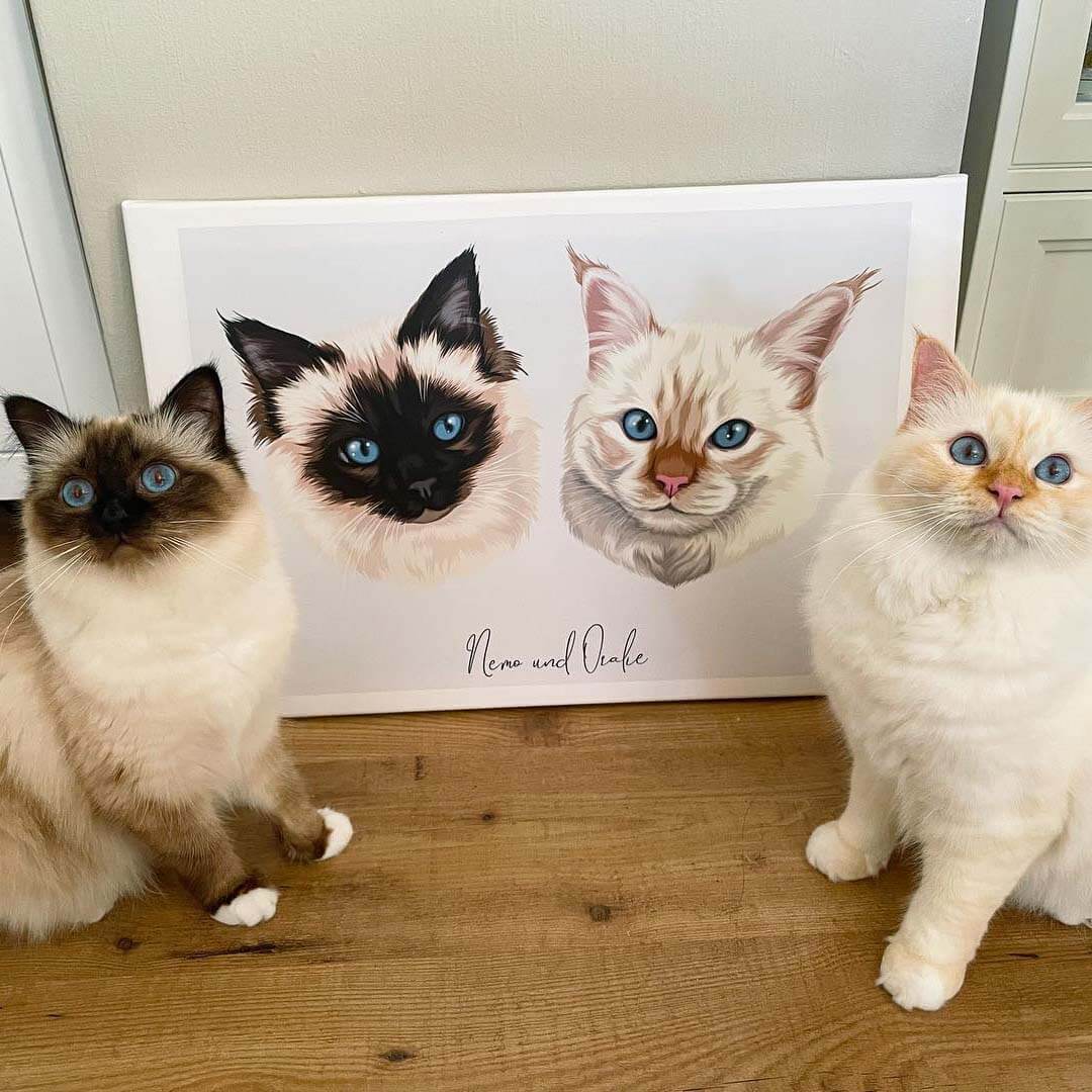 Katzenportrait personalisiert gezeichnet